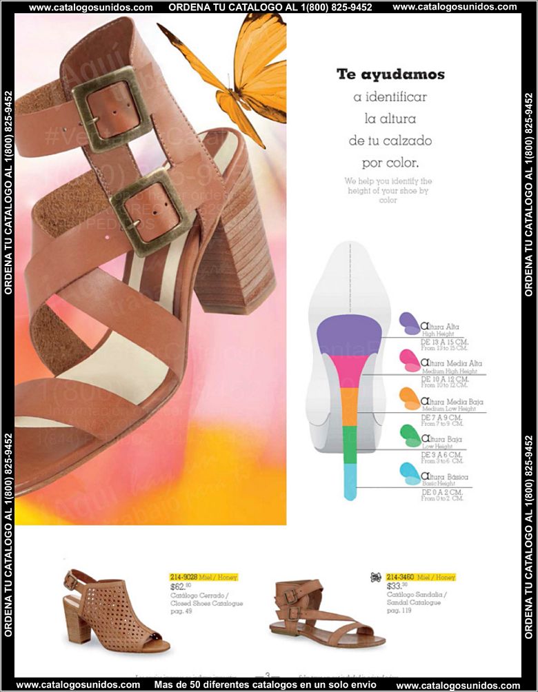 Andrea Sandalia_Page_003